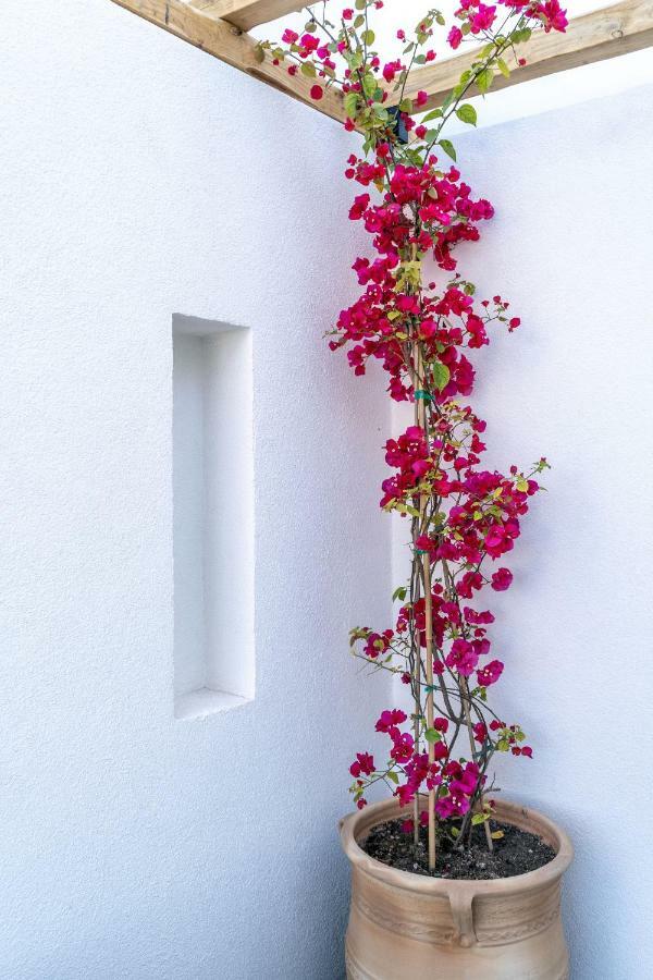 Lemon Suites Santorini Fira  Extérieur photo